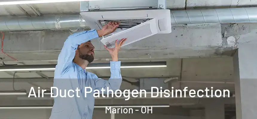  Air Duct Pathogen Disinfection Marion - OH