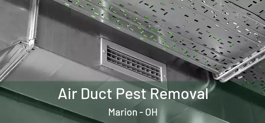  Air Duct Pest Removal Marion - OH
