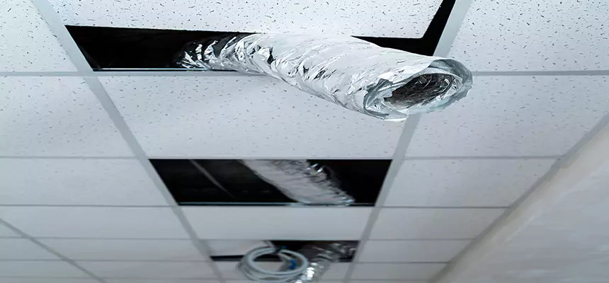 Our Air Duct Pet Hair Removal Services in Marion, OH