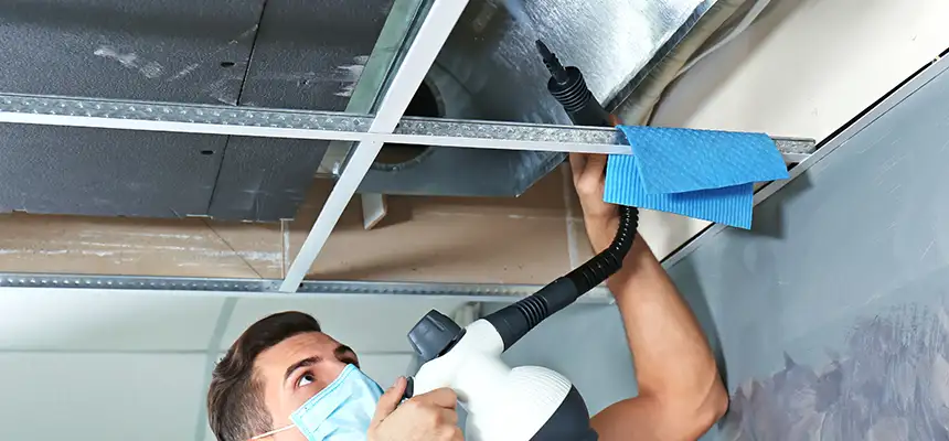 Our Air Duct Rodent Removal Services in Marion, OH