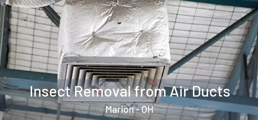  Insect Removal from Air Ducts Marion - OH