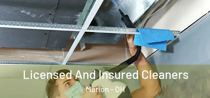 Licensed And Insured Cleaners Marion - OH