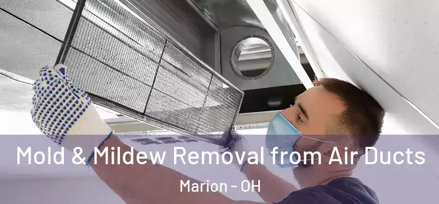 Mold & Mildew Removal from Air Ducts Marion - OH