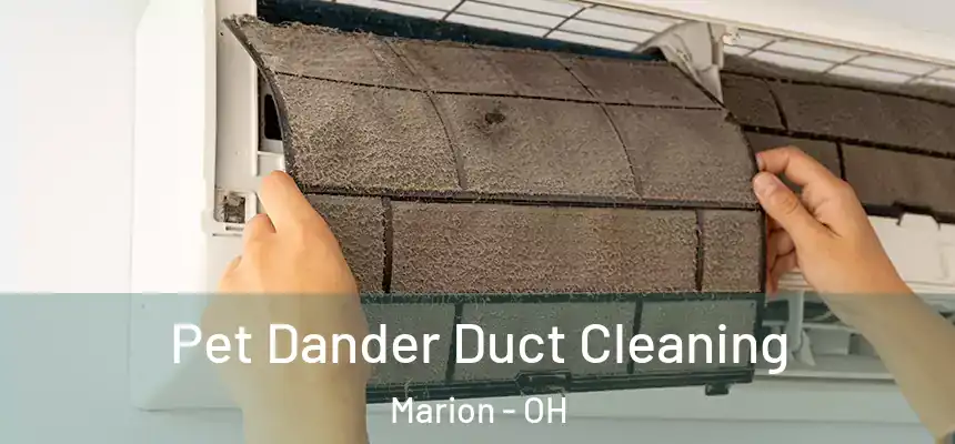  Pet Dander Duct Cleaning Marion - OH