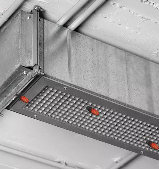 About Air Duct Cockroach Removal in Marion, OH