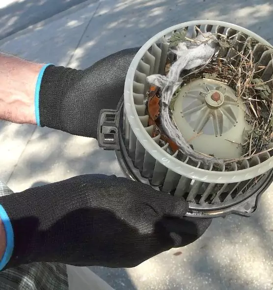 About Air Duct Mice Removal in Marion, OH