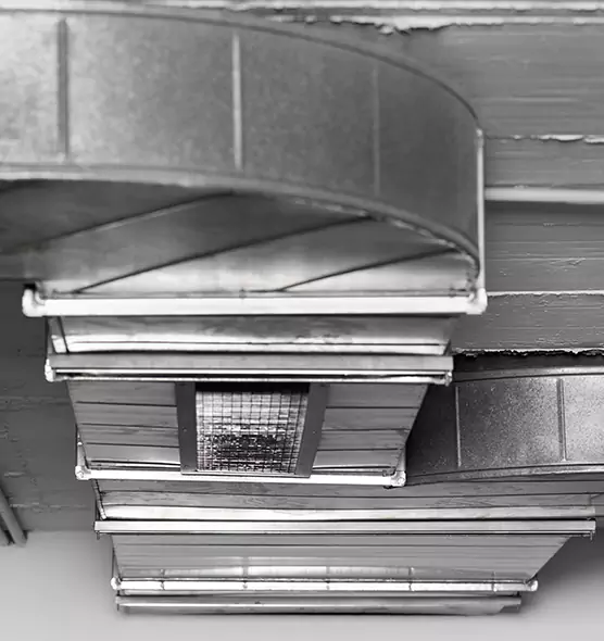 Professional Air Duct Pest Removal in Marion, OH