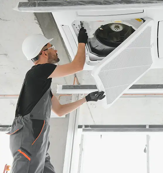 About Air Duct Rodent Removal in Marion, OH