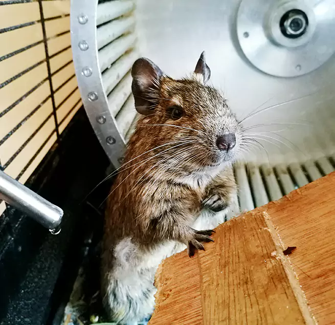 Why Homeowners & Businesses Trust Us Marion, OH